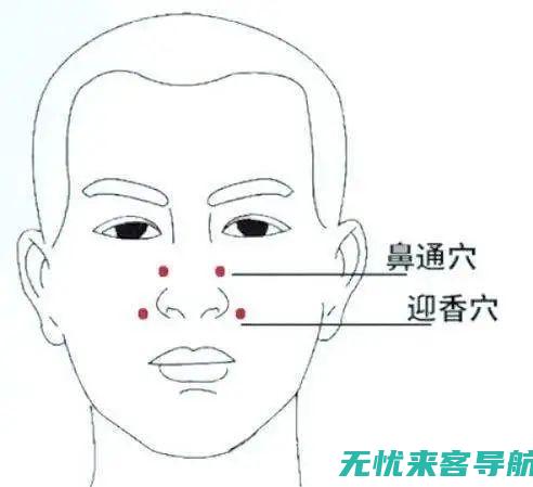 摆脱鼻炎困扰