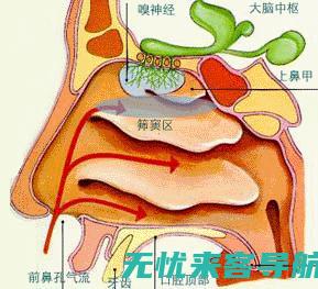 的终结者