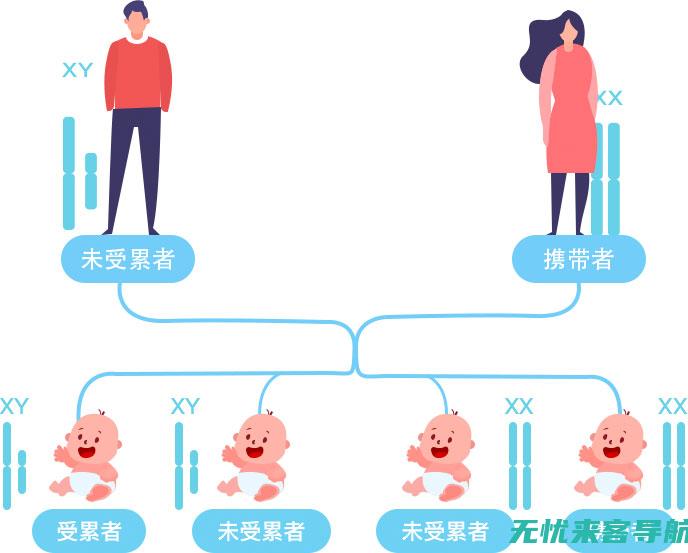 科学解析与过敏性疾病的联系