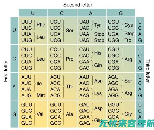 过敏性鼻炎与家族病史的关联