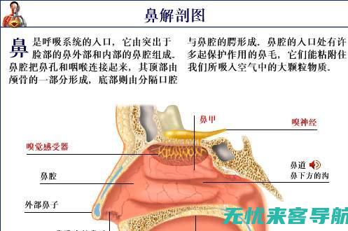 探索最佳治疗方法的选择与应用