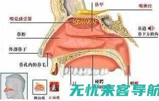 的全球视角