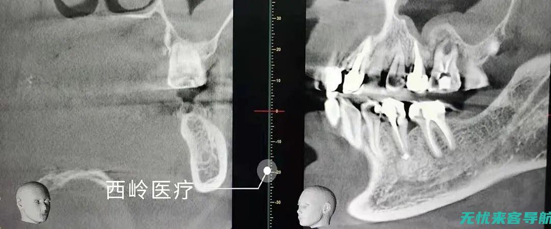 疗法的科学依据与实践应用