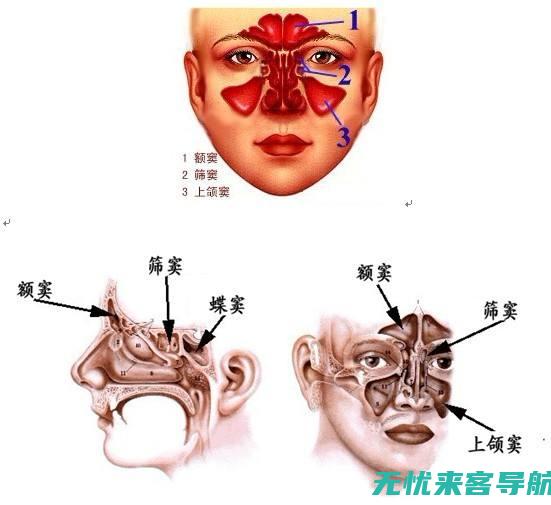 如何并寻求有效治疗