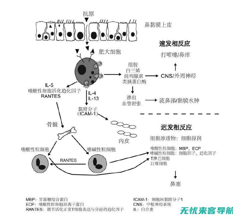 症状识别与家庭护理指南