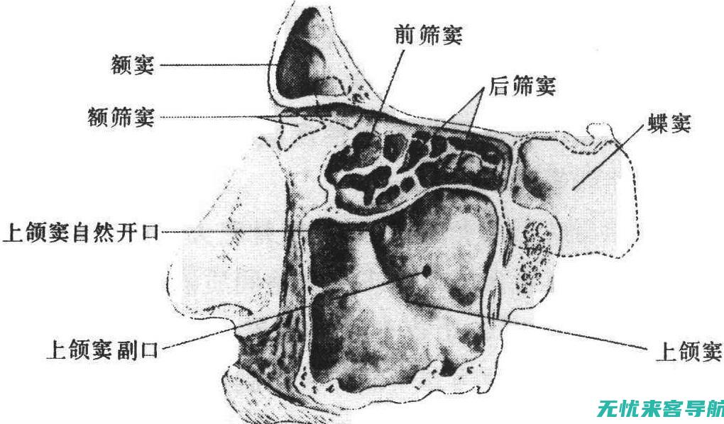 深入了解的