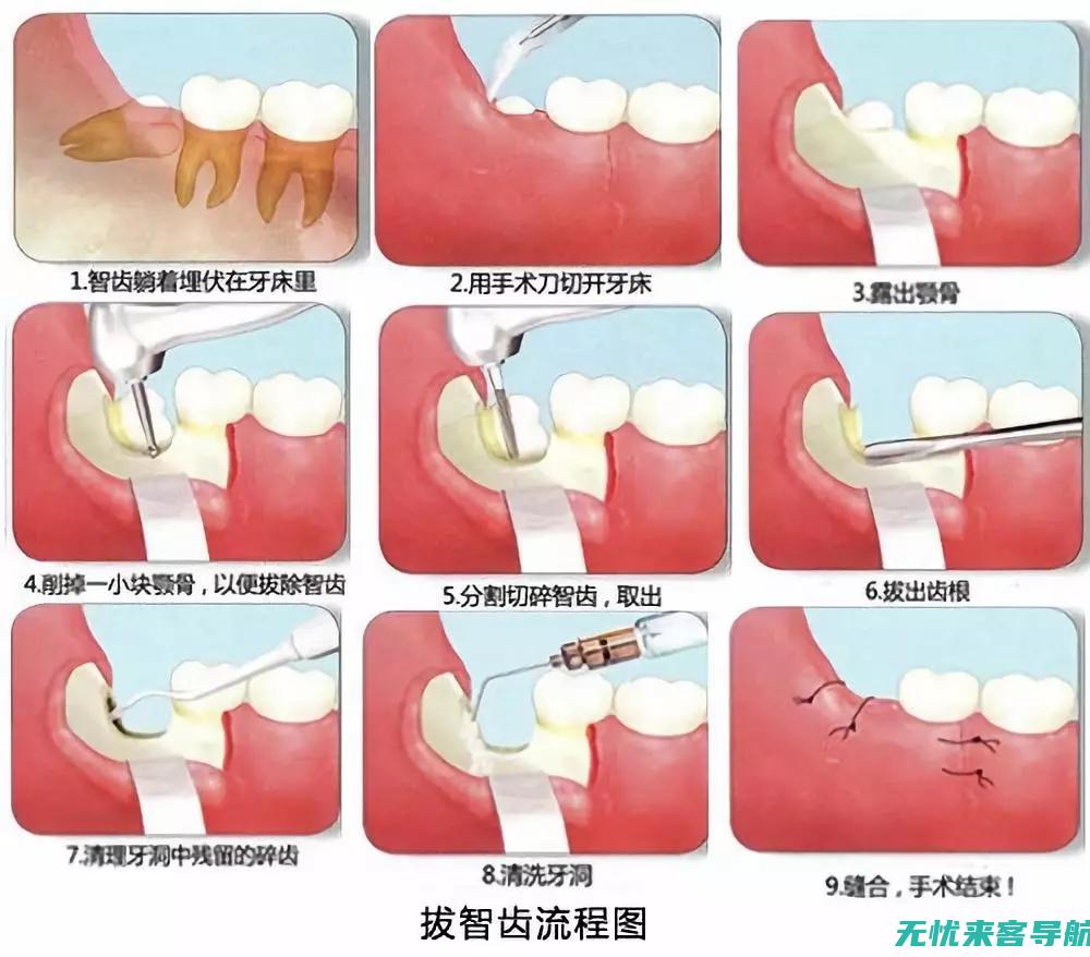 日常护理到紧急处理