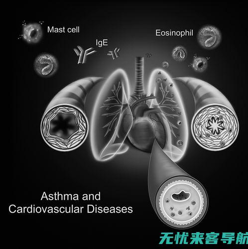 寻找有效的和预防措施