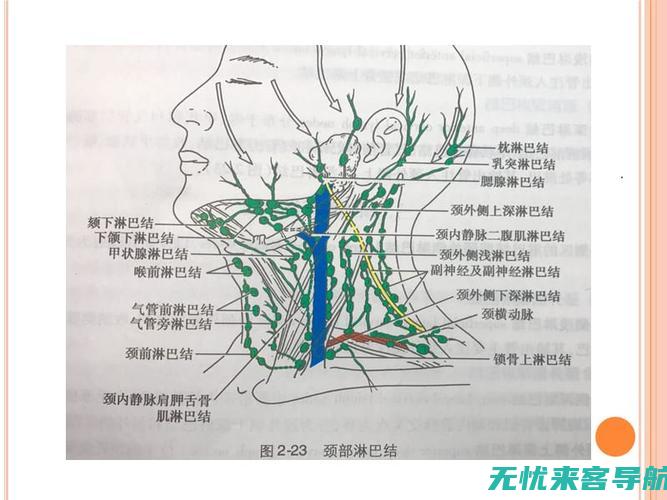 并发症及其对应的管理方法