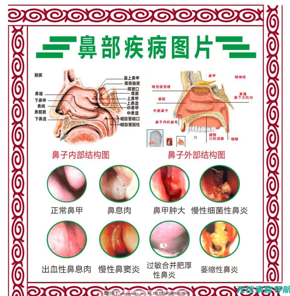 的相关知识