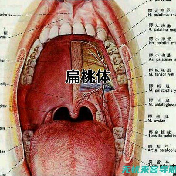 及时治疗的重要性