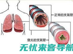 自愈的可行性与必要条件li>