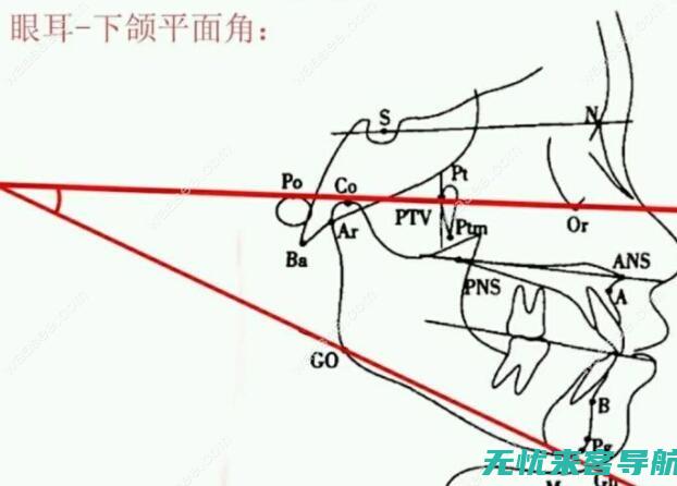 一分钟了解