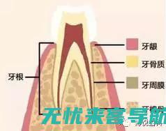 深入了解