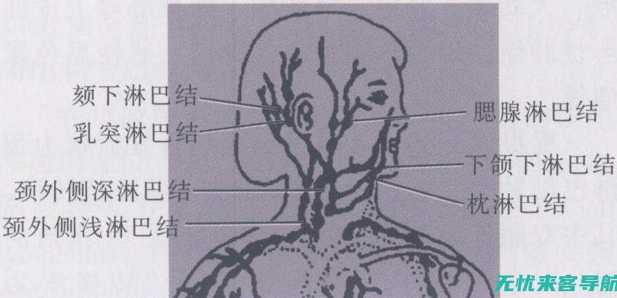 深层认识其征兆与信号