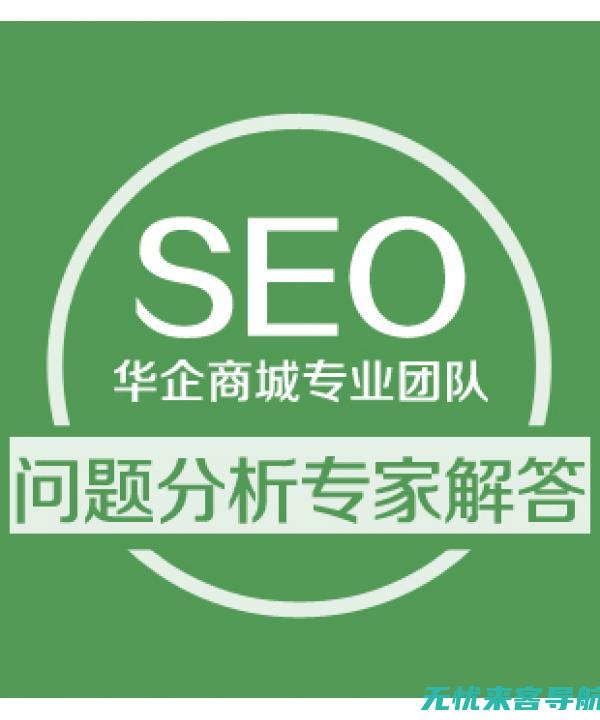 SEO专家解析：如何利用网站优化软件实现关键词排名飞跃 (seo讲解)