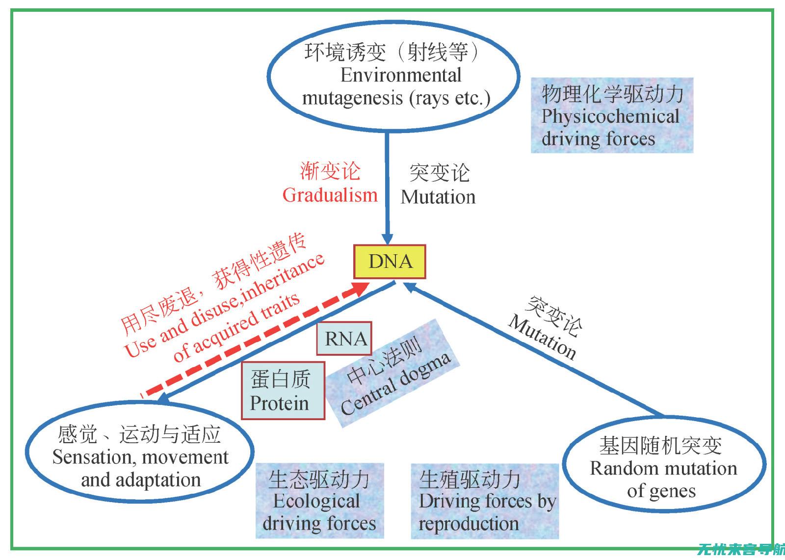 不断进化的搜索工具