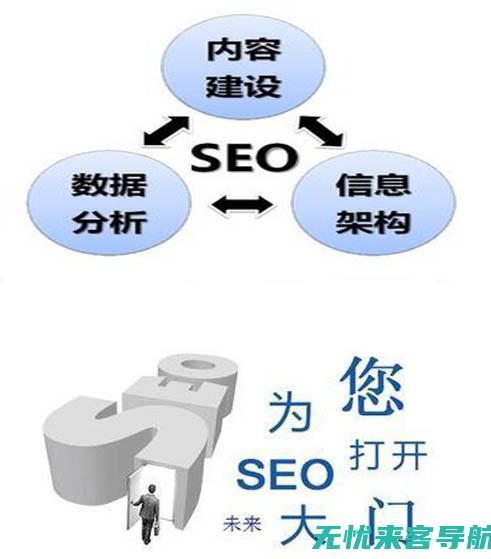 SEO专家解读：网站SEO优化软件的实用技巧与案例分析(seo讲解)