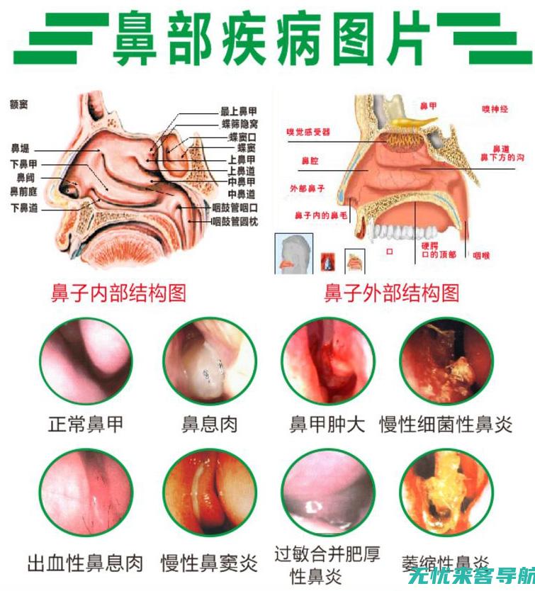 患者的护理