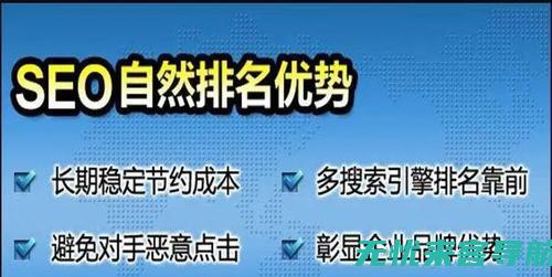 大连SEO优化案例分析：成功提升网站流量的秘诀 (大连seo管理)