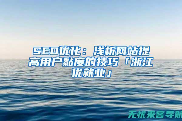 SEO网络优化师：实践中的策略与案例分析(seo网络优化平台)