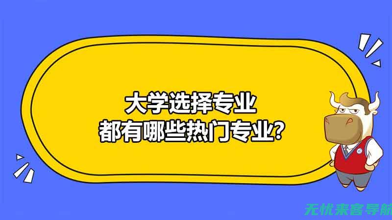 专业指南：无锡SEO整站优化的关键步骤与技巧(无专业学位领域是什么意思)