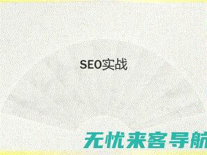 SEO实战指南：优化你的网站以获得更多流量(seo实战指导)