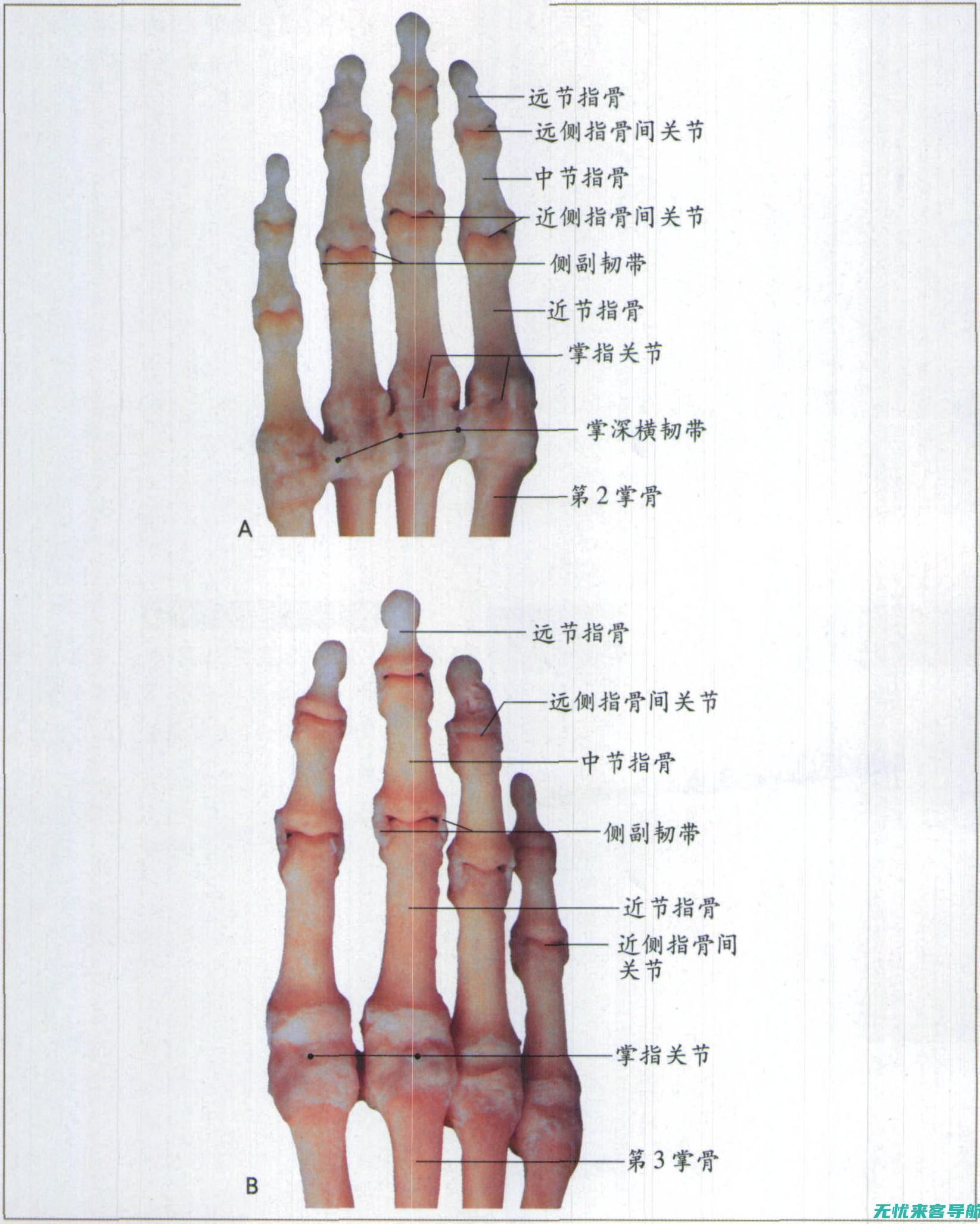 内容为王：掌握SEO优化核心，驱动网站流量增长 (内容为王的意思)