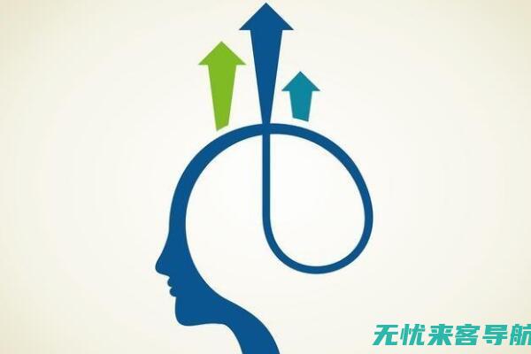 如何全面提升网站SEO优化效果：策略与实践(如何全面提升村级医疗服务水平)