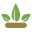 北京黑汁菌生物科技有限公司 解决种植连作障碍 – 引领绿色有机农业种植，推动农业产业升级