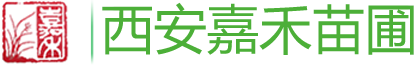 西安办公室花卉租摆