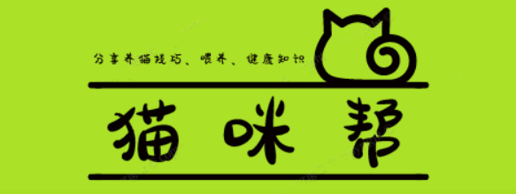 猫咪帮:分享养猫技巧