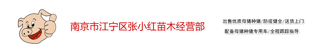 南京市江宁区张小红苗木经营部