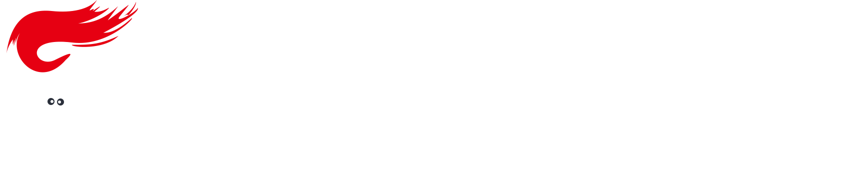 上海市企炬企业发展有限公司