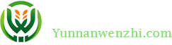 云南文智农业开发集团有限公司